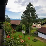Orel * Mozirje