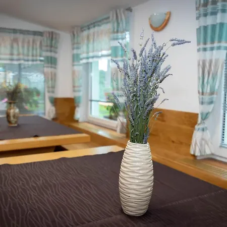 Apartment Orel *